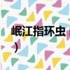 岷江指環蟲 新種（關于岷江指環蟲 新種簡介）