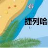 捷列哈內（關于捷列哈內簡介）