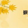 捩花（關于捩花簡介）