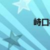 峙口村（關于峙口村簡介）
