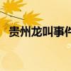 貴州龍叫事件（貴州龍叫事件是怎么回事）