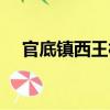 官底鎮西王村（關于官底鎮西王村介紹）