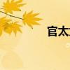 官太太（關于官太太介紹）