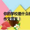 你的學校是什么樣的選擇一個場景寫下來（描寫學校場景的作文范文）