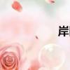岸區（關于岸區簡介）