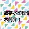 數字水印理論與技術（關于數字水印理論與技術簡介）