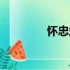懷忠站（關于懷忠站介紹）
