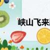 峽山飛來殿（關于峽山飛來殿簡介）