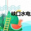峽口水電站（關于峽口水電站簡介）