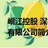 岷江控股 深圳有限公司（關于岷江控股 深圳有限公司簡介）