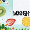 試婚是什么意思啊（試婚的意思）