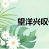 望洋興嘆什么意思（望洋興嘆釋義）