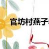 官坊村燕子巖（關于官坊村燕子巖介紹）