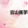 官山蕉芋粉（關于官山蕉芋粉介紹）
