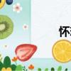 懷戀（關于懷戀介紹）