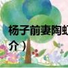 楊子前妻陶虹個人資料（關于楊子前妻陶虹簡介）
