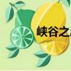 峽谷之屋（關于峽谷之屋簡介）