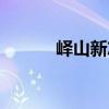 嶧山新志（關于嶧山新志簡介）