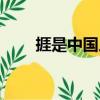 捱是中國人（關于捱是中國人簡介）
