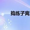 搗練子離塵（關于搗練子離塵簡介）