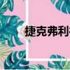 捷克弗利德（關于捷克弗利德簡介）