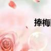 捧梅圖（關于捧梅圖簡介）