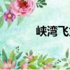 峽灣飛龍（關于峽灣飛龍簡介）