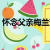 懷念父親梅蘭芳（關于懷念父親梅蘭芳介紹）