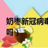 奶棗新冠病毒還能吃嗎（奶棗新冠病毒能食用嗎）