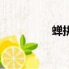 蟬拼音組詞（蟬的讀音）