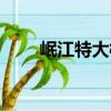 岷江特大橋（關于岷江特大橋簡介）