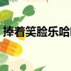 捧著笑臉樂哈哈（關于捧著笑臉樂哈哈簡介）