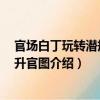 官場白丁玩轉潛規則：升官圖（關于官場白丁玩轉潛規則：升官圖介紹）