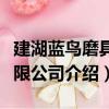 建湖藍鳥磨具有限公司（關于建湖藍鳥磨具有限公司介紹）