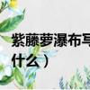 紫藤蘿瀑布寫作背景（紫藤蘿瀑布寫作背景是什么）