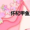 懷杞甲魚湯（關于懷杞甲魚湯介紹）