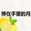 捧在手里的月光（關于捧在手里的月光簡介）