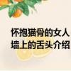 懷抱貓骨的女人+白墻上的舌頭（關于懷抱貓骨的女人+白墻上的舌頭介紹）