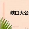 峽口大公殿（關于峽口大公殿簡介）