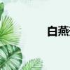 白燕升簡介（白燕升是誰）