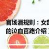 官場潛規則：女部長的泣血官路（關于官場潛規則：女部長的泣血官路介紹）