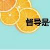 督導是什么意思（督導的含義）