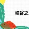 峽谷之巔（關于峽谷之巔簡介）