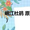 岷江杜鵑 原亞種（關于岷江杜鵑 原亞種簡介）