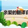 親愛的翻譯官結局（劇情講述了什么故事）