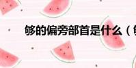 夠的偏旁部首是什么(夠部首介紹)