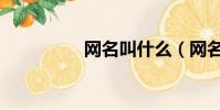 網名叫什么(網名大全)
