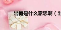 出梅是什么意思啊(出梅的意思)