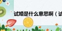 試婚是什么意思啊(試婚的意思)