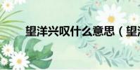 望洋興嘆什么意思(望洋興嘆釋義)
